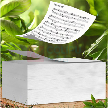 鑫莱美 防静电打印纸 A4 70g (白色) 500张/包 10包/箱