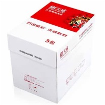 天威 PRINT-RITE 复印纸 A4 /80G 500张/包*5包