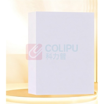 凯萨 双面加厚复印纸 A4 120g/100张 (白色)