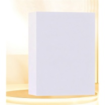 凯萨 双面加厚复印纸 A4 120g/100张 (白色)