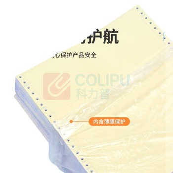 NVV 电脑打印纸 DYJ241-2-3S 二联三等分 撕边 (彩色) 1000张/箱