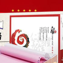 天章(TANGO) 二联二等分可撕边针式电脑打印纸 1000页 241-2-1