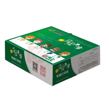 天章 乐活天章电脑打印纸 241-5-1/3S 五联三等分撕边 (彩色) 1000页/箱