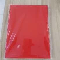 炫彩 A4红色座签纸 100张/包