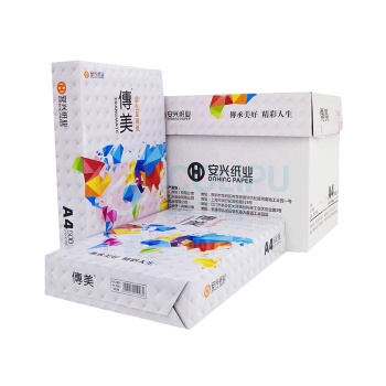 安兴 传美 彩色复印纸 A4 80g (10色) 100张/包
