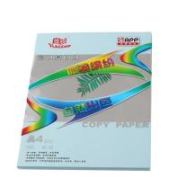 旗舰 FLAGSHIP 彩色复印纸 A4 80g/m2 (浅蓝色) 100张/包 (仅限华东华北可售)