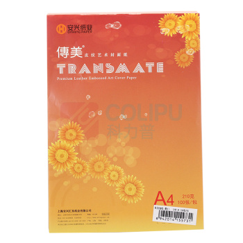传美 TRANSMATE 封面云彩纸 A4 210g (粉红色) 100张/包