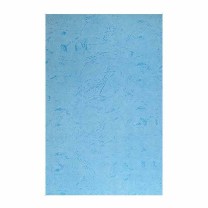 道顿 DOCON 平面皮纹纸 A3++ 180g 100张 (蓝色)