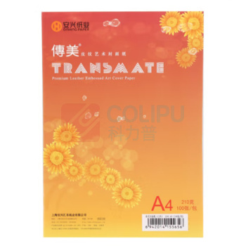 传美 TRANSMATE 皮纹纸 A4 210g/m2 (白色) 100张/包