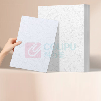 质印 凹凸皮纹纸 A4 230g (白色) 200张/包