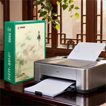 天章 雅A4纸打印纸 80g 500张/包 8包/箱 4000张 (白色)