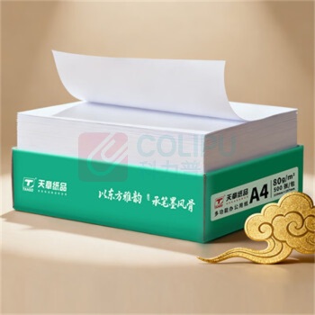 天章 雅A4纸打印纸 80g 500张/包 8包/箱 4000张 (白色)