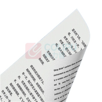 晨光 M&G 打印纸 APYVJF46 80g (蓝色) 500张/包, 8包/箱, 整箱4000张, A4双面打印纸