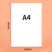 国产 卡纸 A4 180g (白色) 500张/包