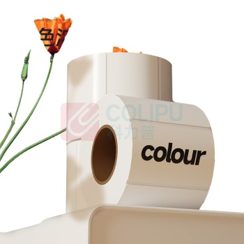 晨光 M&G 绿晨光三防热敏标签打印纸 APN3Z025 80*50mm (白色) 960张/卷 18卷/箱 DC