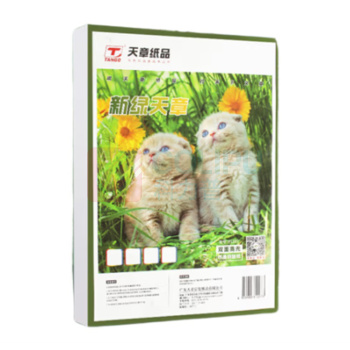 新绿天章 双面喷墨高光铜版相片纸 P1274 A4 200g 50张/包