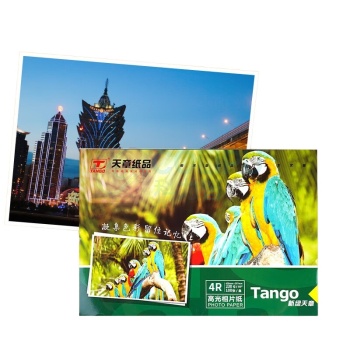 天章 相片纸 P3621 4R 230G 100张/包 新绿天章