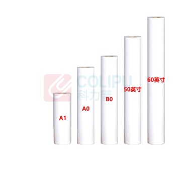 七级风 工程绘图纸 1520×50m 80g2寸管芯 50m/卷