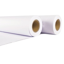 天章 新绿天章 工程绘图纸 P6251 A0 880mm*50m 80g 2卷/箱
