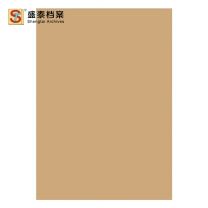 盛泰档案 无酸牛皮纸 EN 130g 310*220mm 100张/包 (下单前请联系采购确认运费)