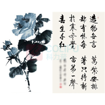 檀烨轩 宣纸书法专用纸国画创作毛笔书法初学练习纸 熟宣六尺整张50张 97*180cm