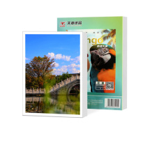 天章 铜版纸 P1196 A4 105g 50张/包