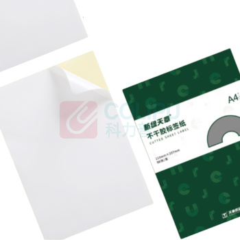 新绿天章 不干胶亚面铜版纸 P3124 A4 80g 100张/包