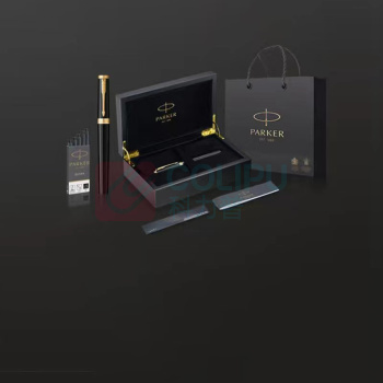 派克 PARKER 精英 睿智黑金夹墨水笔 F尖 (黑色)