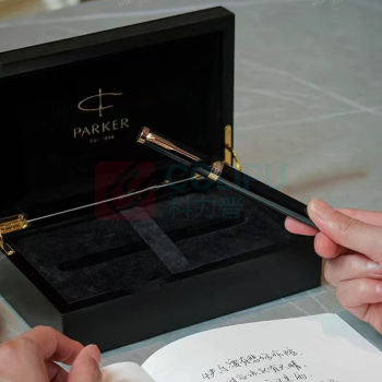 派克 PARKER 精英 睿智黑金夹墨水笔 F尖 (黑色)