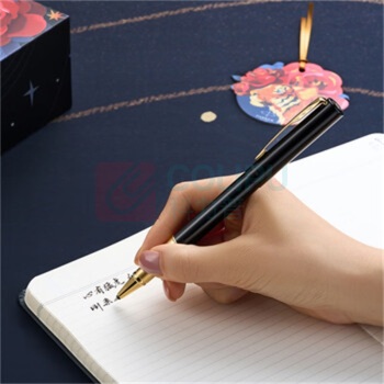 派克 PARKER 宝珠笔+虎嗅蔷薇套盒 威雅XL幻影黑