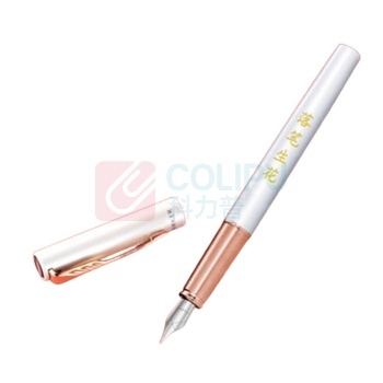 派克 PARKER 墨水笔+红墙套盒 威雅XL月光白
