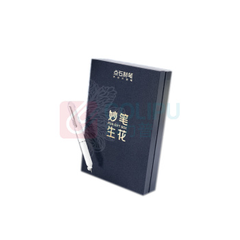 点石 妙笔生花钢笔礼盒 DS-369E 2支笔+4支墨囊/套 (白色+黑色)