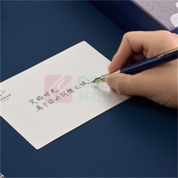 派克 PARKER 钢笔 签字笔套装 威雅XL天际蓝香槟金夹墨水笔 城市漫步