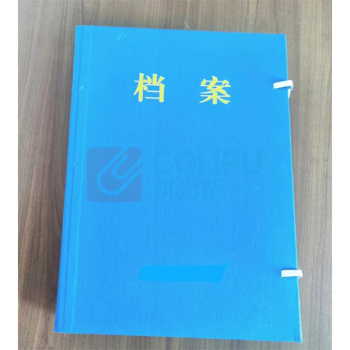 伟盛 漆皮档案盒 35cm*25cm*5cm