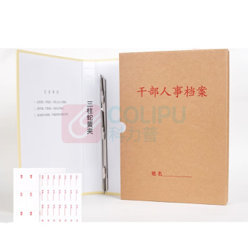 三益档案 SANISY 牛皮纸干部人事盒 GB45 (A4 4.5cm) 10个/组