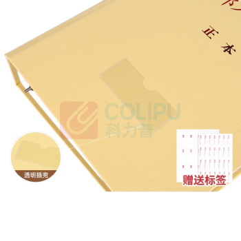 三益档案 SANISY 牛皮纸干部人事盒 GB45 (A4 4.5cm) 10个/组