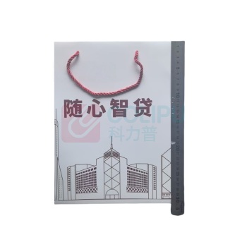 融银之汇 手提袋 300*400*100mm 50个/件