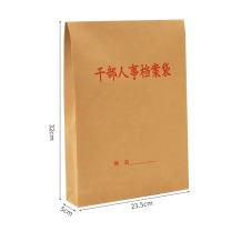 伟盛 干部人事档案袋 32*23.5*5cm 10个/组