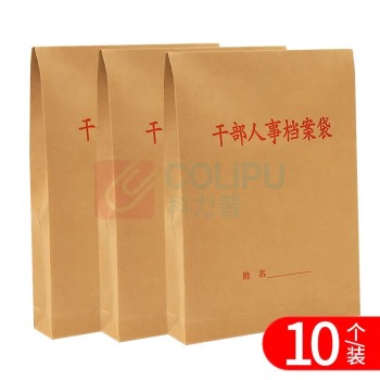 伟盛 干部人事档案袋 32*23.5*5cm 10个/组