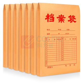 科力普 COLIPU 底部加宽5厘米牛皮纸档案袋 APYRA16L A4 300G 50个/包