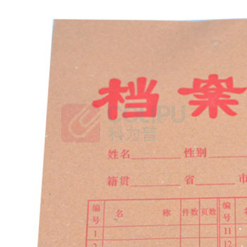 科力普 COLIPU 牛皮纸档案袋 APYRA14L A4 200G 50个/包