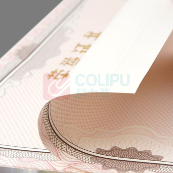 信发 TRNFA 荣誉证书内芯 16K 50张/包 DC