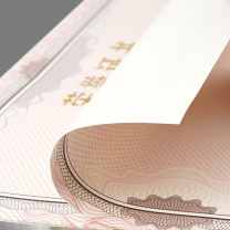 信发 TRNFA 荣誉证书内芯 16K 50张/包 DC