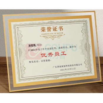 致境 水晶玻璃证书外壳 A4 (金色双边)