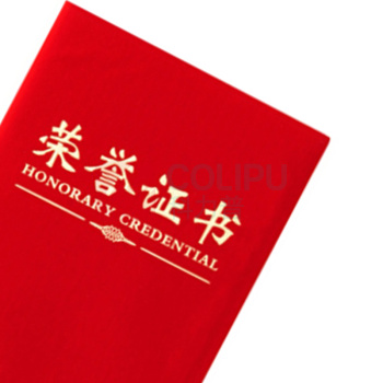 晨光 M&G 尊贤绒面荣誉证书 ASC99307 8K 长260mm宽183mm (红色) 100本/箱 (含内芯)