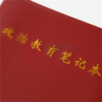 融银之汇 仿皮多孔活页教育本 A5会议本子商务日记本党员 可替换内芯 230*165mm (黑色)