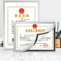 金隆兴 营业执照框磁性展示贴 A4 210*297mm (银色)