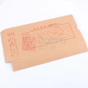 伟盛 记帐凭证 25cm*15cm*4cm 牛皮纸
