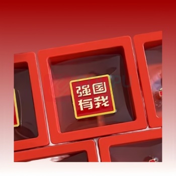京喜 胸针徽章 强国有我