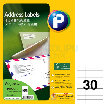 普林泰科 printec 地址标签 A0300-100 70*29.7mm (白色) 30枚/张 100张/包
